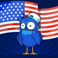 Happy 4Th Of July GIF by BigBrains