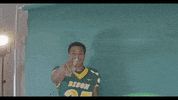 North Dakota State Bison GIF by NDSU Athletics