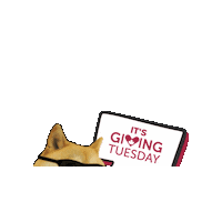givingtuesdayca givingtuesday givingtuesdayca Sticker