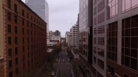 Portland Oregon GIF by 50statesproject
