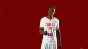 choletbasket sport basketball basket cb GIF