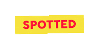 Sport Running Sticker by Linz News