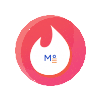 Fire Love Sticker by Meridian°