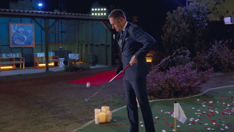 The Bachelor Love GIF by ABC Network