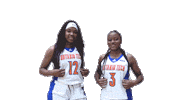 Basketball Sticker by Ontario Tech Ridgebacks