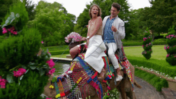 thebachelorau the bachelor au the bachelor australia GIF