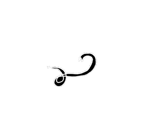 Snake Bite Sticker by eielio