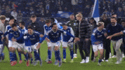 Football Win GIF by FC Schalke 04