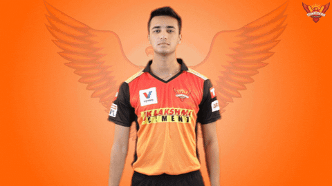 Orangearmy GIF by SunRisers Hyderabad