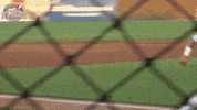EvansvilleOtters happy baseball good run GIF