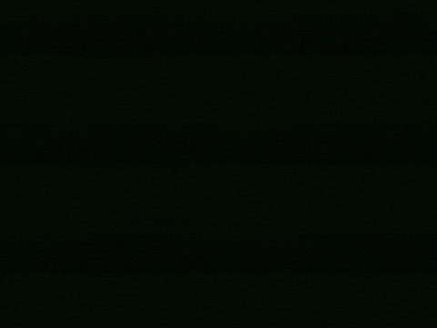 Cartoon Colors GIF