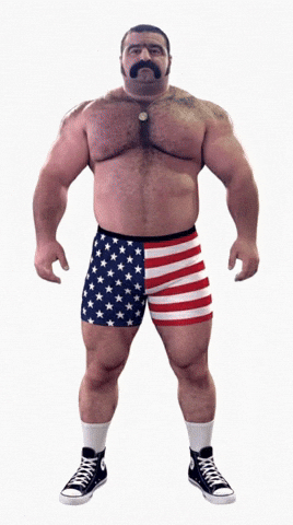 American Usa GIF by Database數據