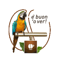 Chef Masterchef Sticker by lollocaffe