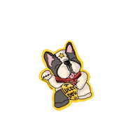 China Cat Sticker by Ivo Adventures
