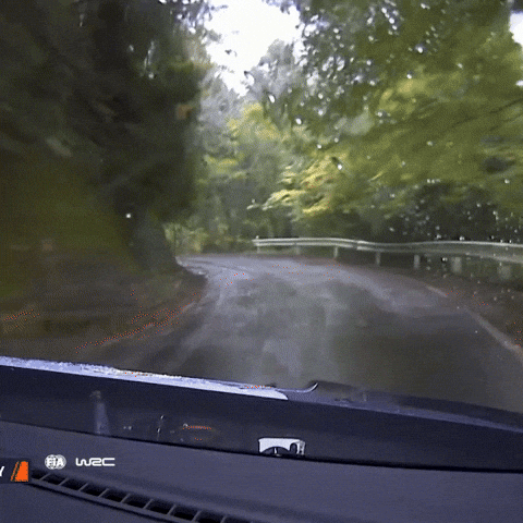 Car Crash Sport GIF by FIA World Rally Championship
