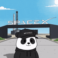 Elon Musk Sun GIF by Pandu Pandas