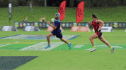 Tfa GIF by Touch Football Australia