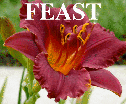 lidiaflores9c4e giphygifmaker kitty mbd pretty cat GIF