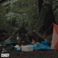 Jesse Eisenberg Bigfoot GIF by Bleecker Street