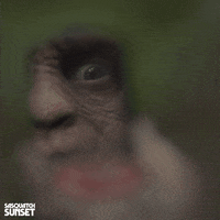 Jesse Eisenberg Bigfoot GIF by Bleecker Street