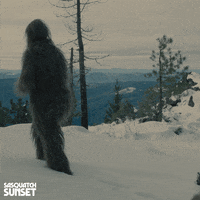 Jesse Eisenberg Bigfoot GIF by Bleecker Street