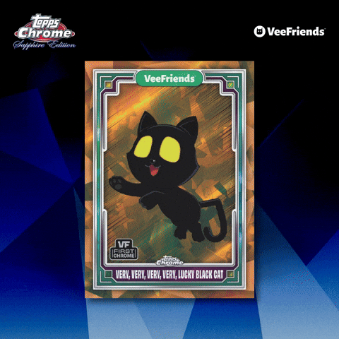 Collect Black Cat GIF by VeeFriends