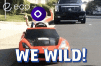 Crypto Cryptocurrency GIF by Eco