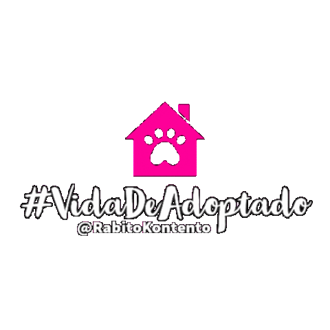 Adopta Rabito Sticker by RabitoKontento