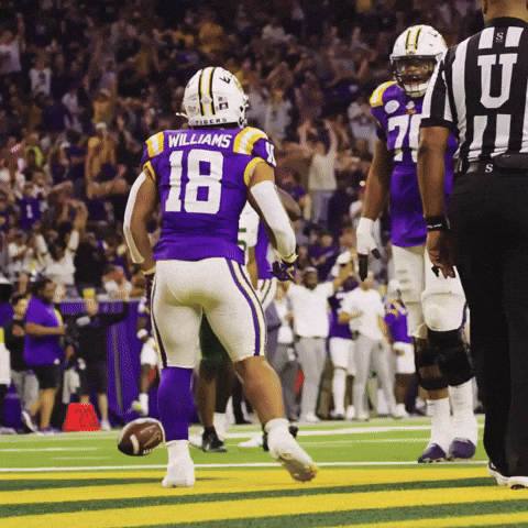College Football GIF by LSU Tigers