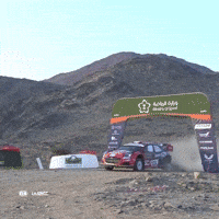 Motorsport Damaged Car GIF by FIA World Rally Championship