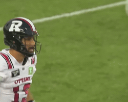 Angry Cfl GIF