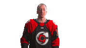Hockey Echl Sticker by Cincinnati Cyclones