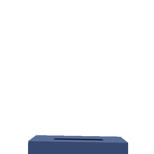 thecartercenter giphyupload vote go vote voter Sticker