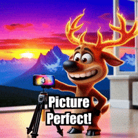 Picture Perfect Travel GIF by elkijahspark