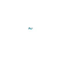 Water Sticker
