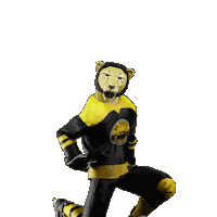 Hockey Hokej Sticker by Tipsport extraliga