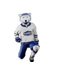 Hockey Hokej Sticker by Tipsport extraliga