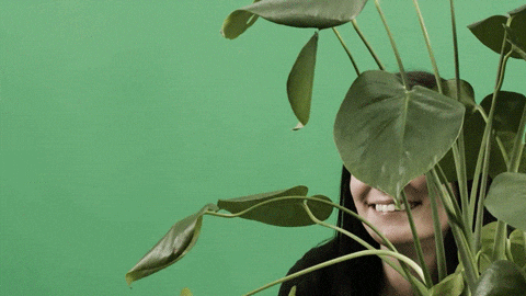 Tim And Eric Hello GIF by StickerGiant