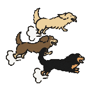 Animated Sticker