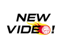 southcoastblaze blaze netball newvideo southcoastblaze Sticker