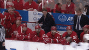 mlb GIF by SB Nation