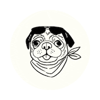 Fun Dog Sticker by Fox & Co Design