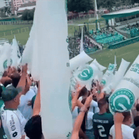 Goiasec GIF