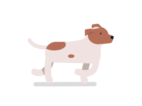 Sexydexy Sticker by Red Beard