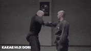 ninja sheriff GIF by AKBAN Academy