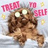 Animation Treat Yourself GIF by Holler Studios