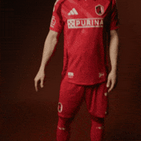 Stlcitysc GIF by St. Louis CITY SC