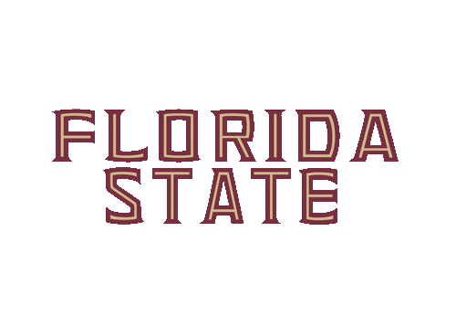 football basketball Sticker by Florida State University
