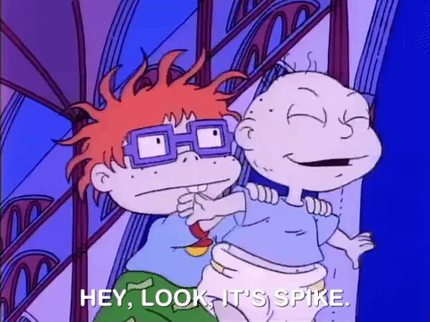 nicksplat rugrats GIF
