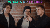 Whats Up There Fah GIF by FoilArmsandHog